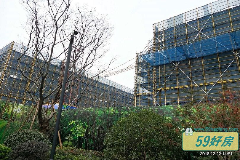 实景图