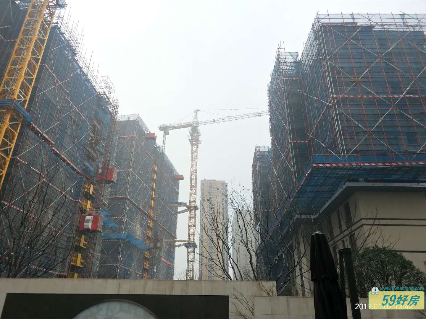 金科碧桂园.博翠府