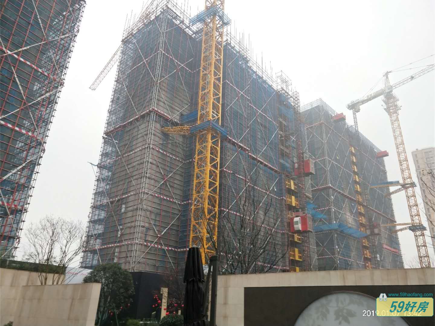 实景图
