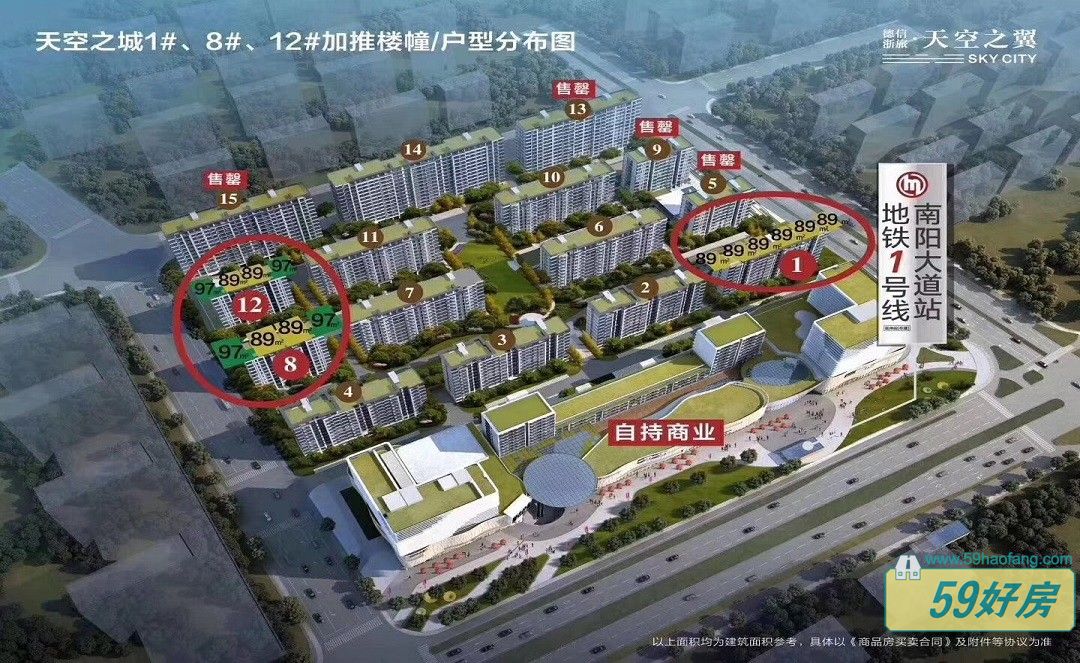 德信浙旅.天空之翼
