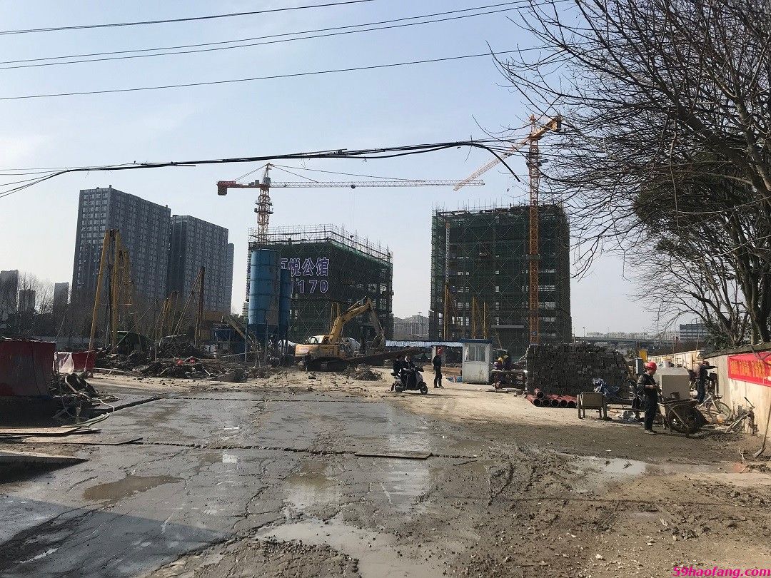 实景图