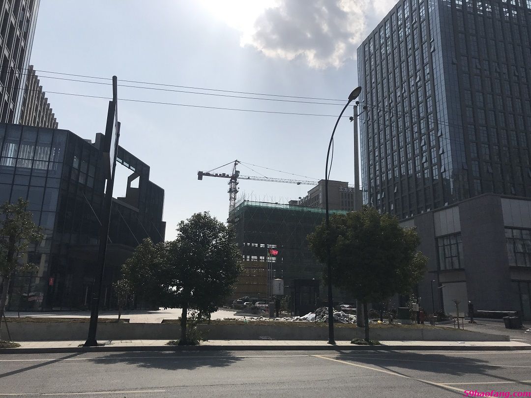 实景图