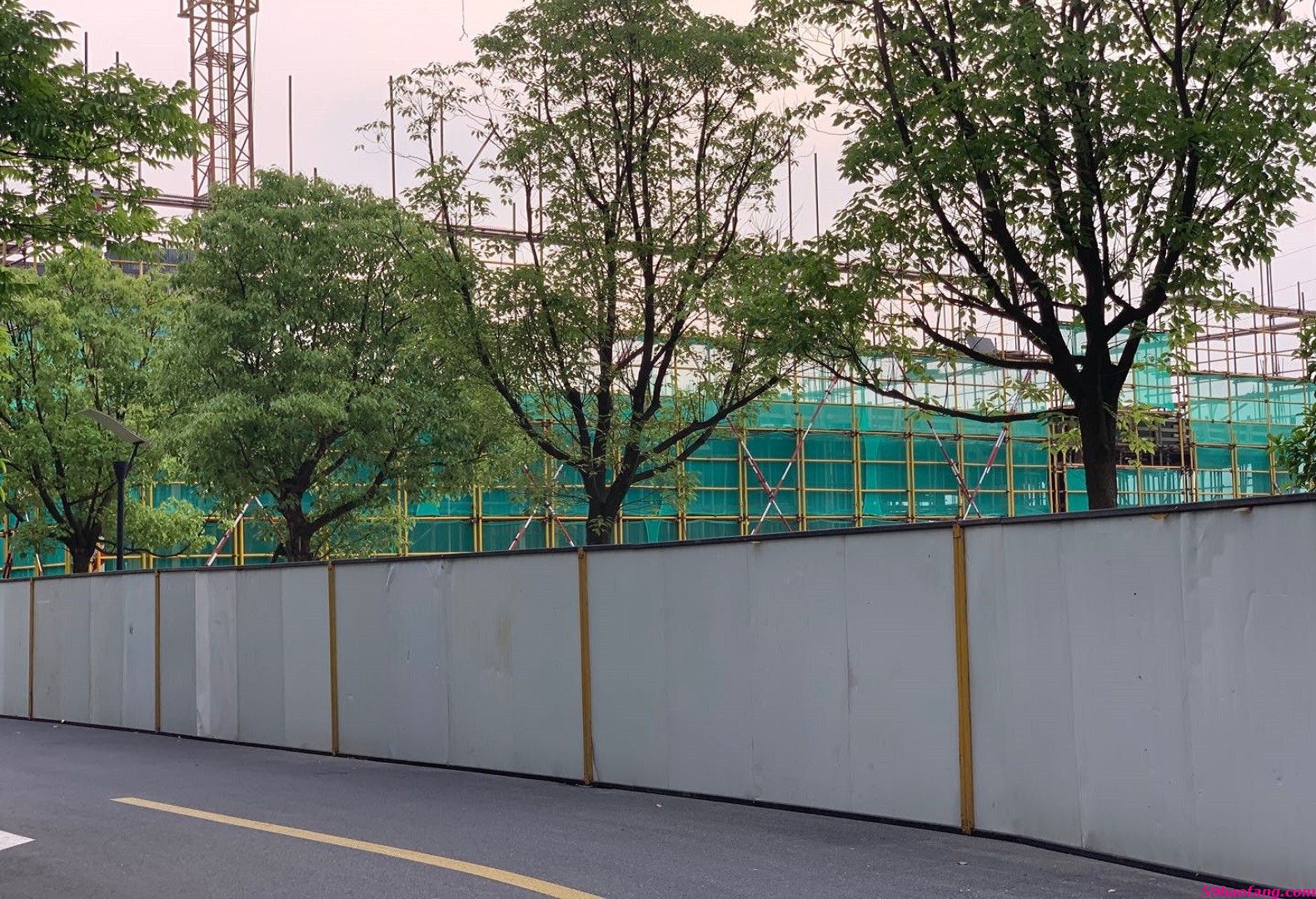 实景图