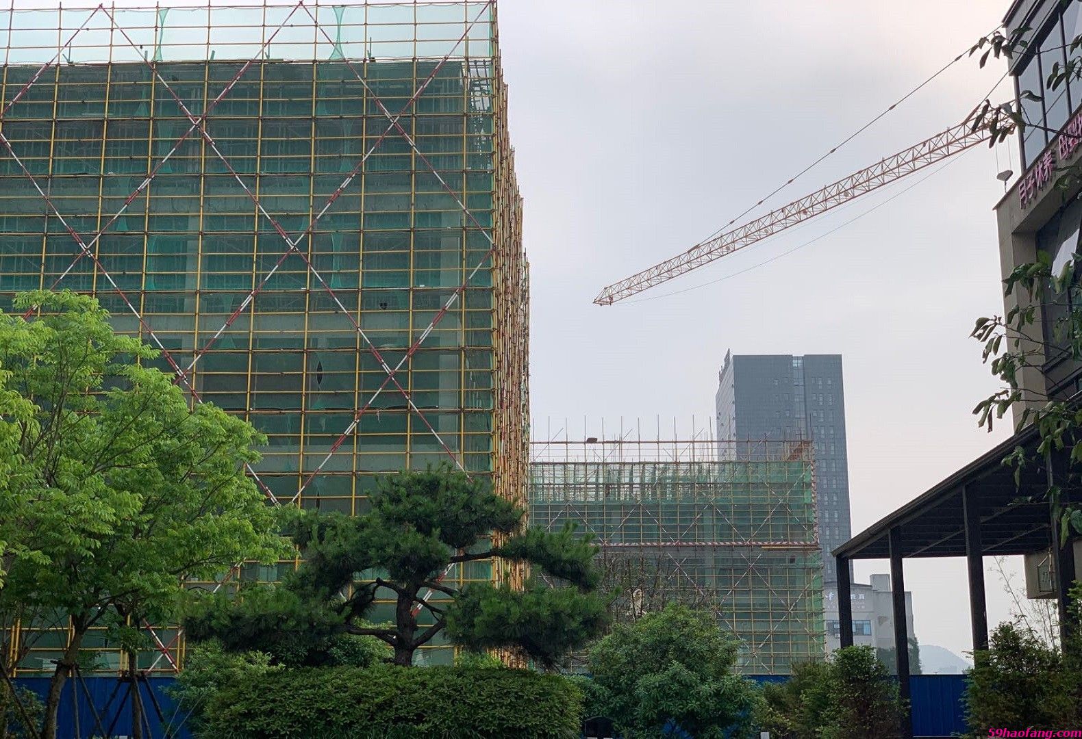 实景图