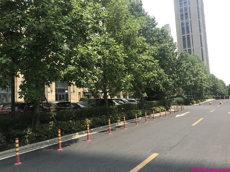 实景图