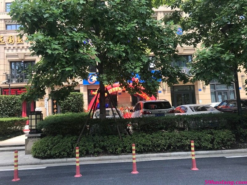 实景图