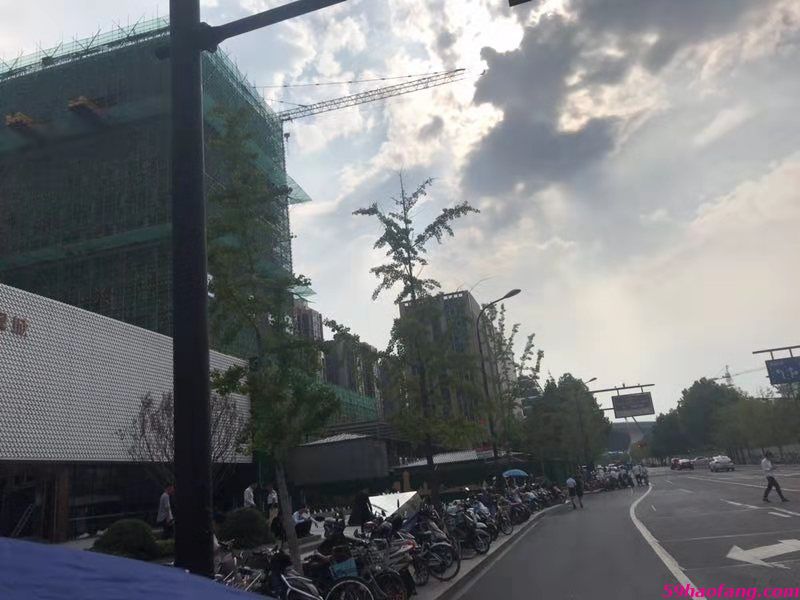 实景图