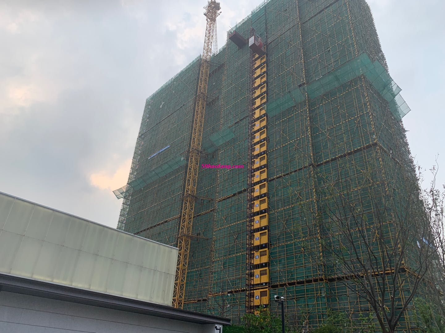 实景图