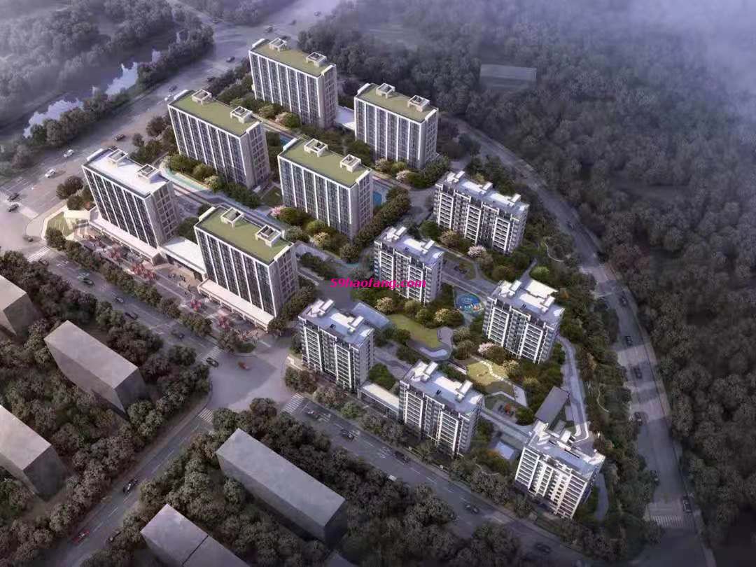 实景图